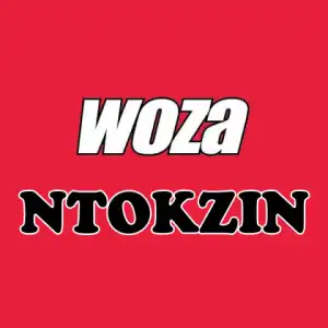 Ntokzin - Woza